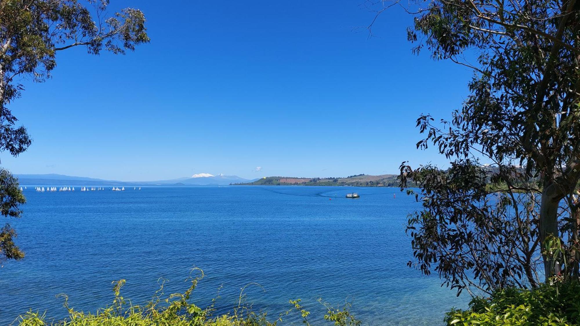 Bed And Breakfast Happy Home Taupo Accommodation Экстерьер фото